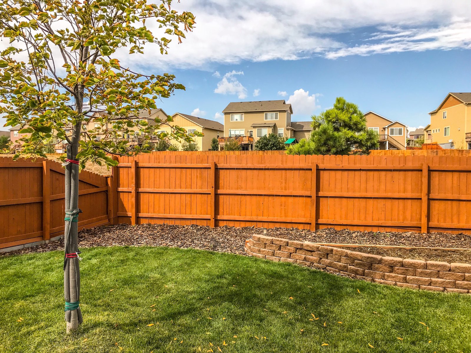 Fence Staining Loveland